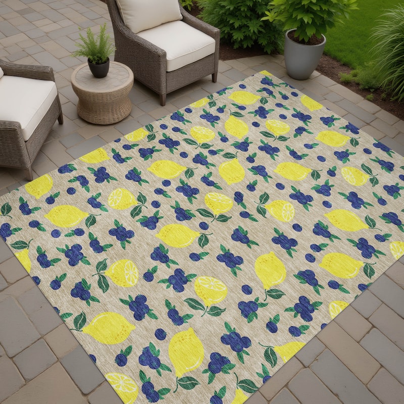 Machine Washable Indoor/ Outdoor Citrus Berry Chantille Rug - Putty - 2'6" x 3'10"