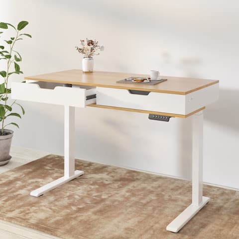 FlexiSpot Height Adjustable Standing Desk Quick Install Home Office Table Storage USB Post Ergonomic Computer Desk Two Drawers