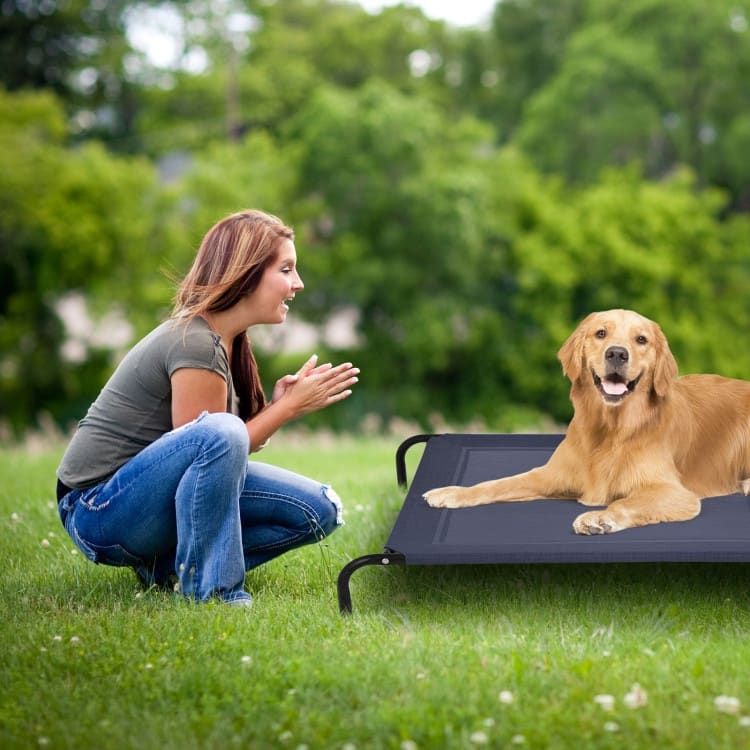 Elevated Pet Bed for Medium Large Dogs - 52" x 36" x 8" (L x W x H)