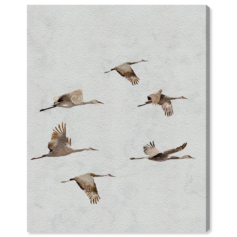 Wynwood Studio Canvas Animals Taking flight White and Modern & Contemporary Wall Art Canvas Print - White, Brown