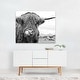 Cute Highland Cow Black White 1 Photography Animals Art Print/Poster ...