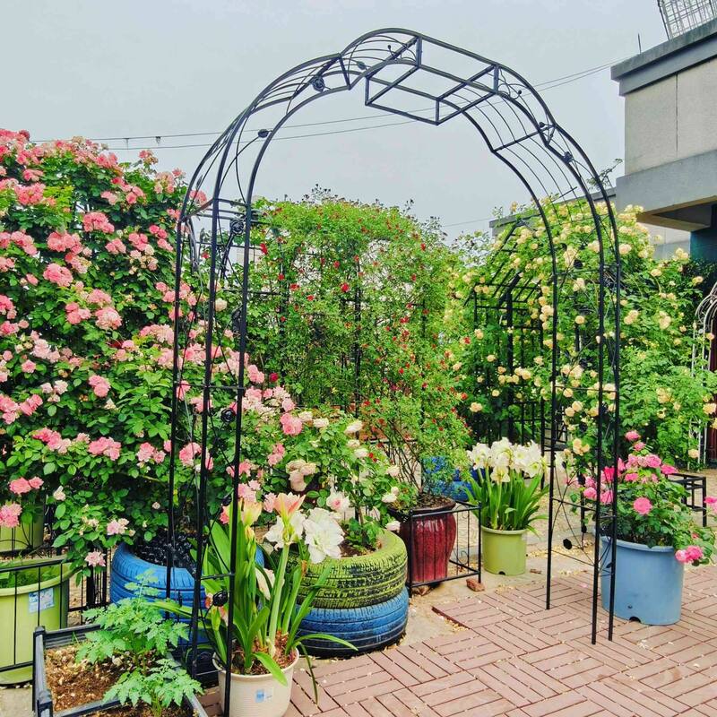 Metal arch trellis suitable for weddings and garden plant climbing