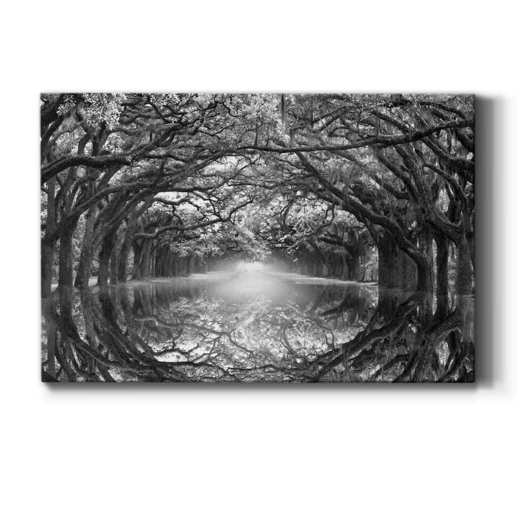Oak Alley Reflection Premium Gallery Wrapped Canvas - Ready to Hang
