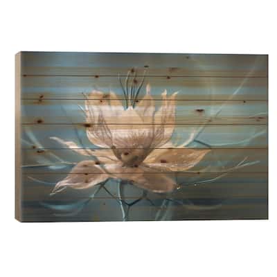 Nigella I Print On Wood by Mandy Disher - Multi-Color