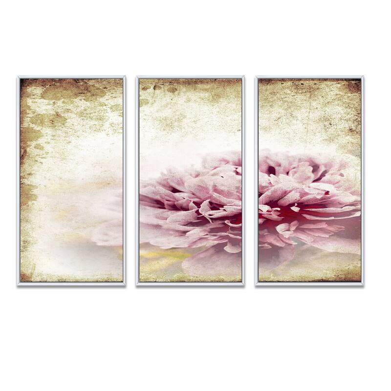 Designart "Pink Peony in Vintage Style" Floral Framed Wall Decor Set of 3 4 Colors of Frames
