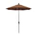Option Teak