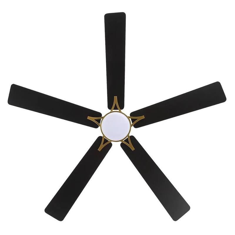 MLiAN 5-Blades DC Motor Indoor Smart Ceiling Fan with Light and Remote