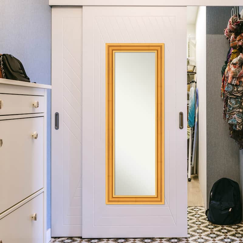 Sierra Non-Beveled Wood Framed Full-Length On the Door Mirror