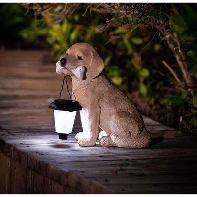 Light Brown Resin Puppy with Solar Light Garden Statue