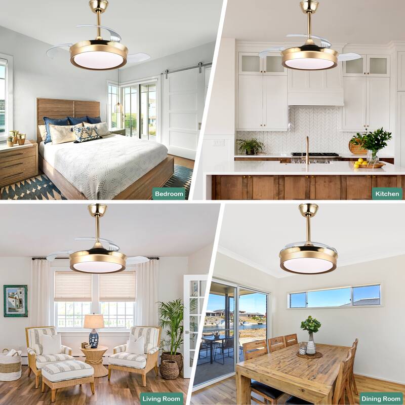 Cusp Barn 36 Inch Retractable Ceiling Fan with Lights, Modern 6 Speeds Silent DC Motor Fandelier Ceiling Fan for Bedroom