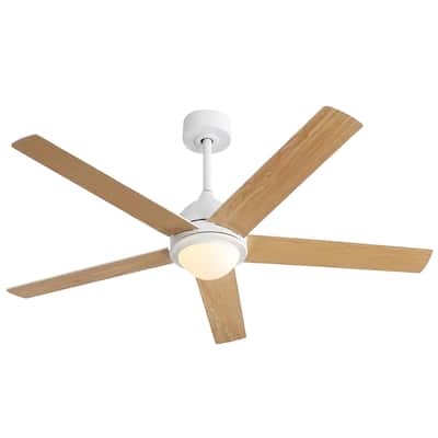 Modern Led Ceiling Fan