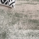 preview thumbnail 12 of 11, SAFAVIEH Adirondack Valeriana Contemporary Rug