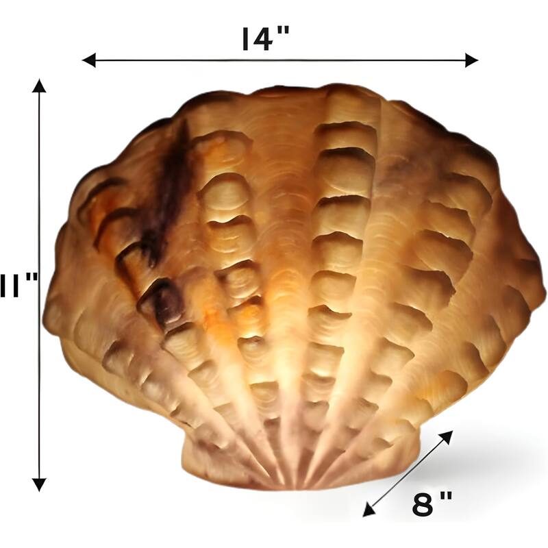 Aria Home Scallop Shell Table Lamp Sculpted Sandstone coastal accent