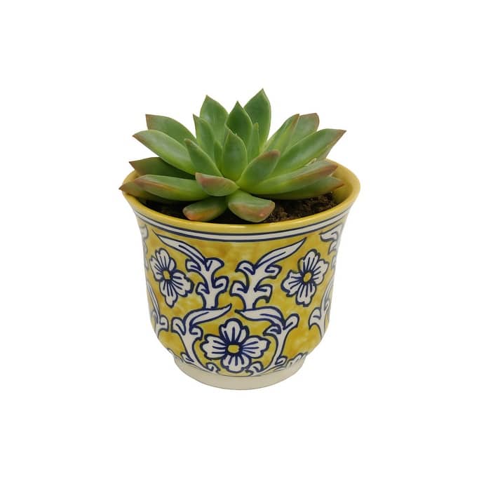 Home&Manor Ceramic Planter Yellow