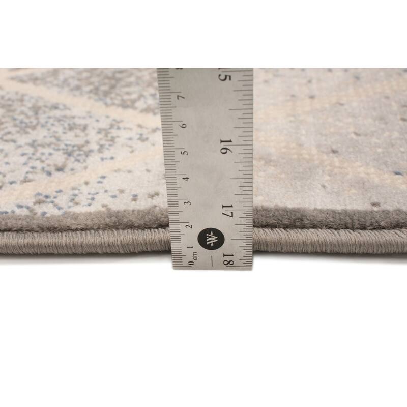 ECARPETGALLERY Julia Transitional Rug