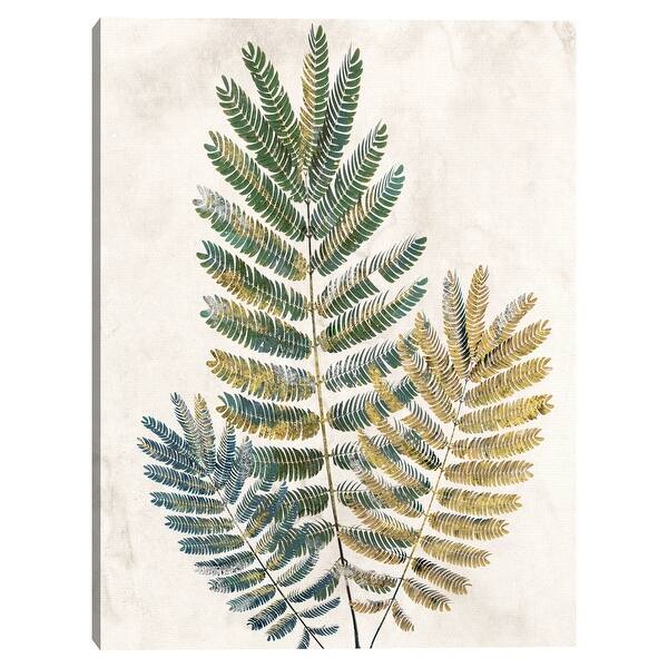 Opulent Ferns Iii By Studio Arts Canvas Art Print On Sale Overstock 32622328