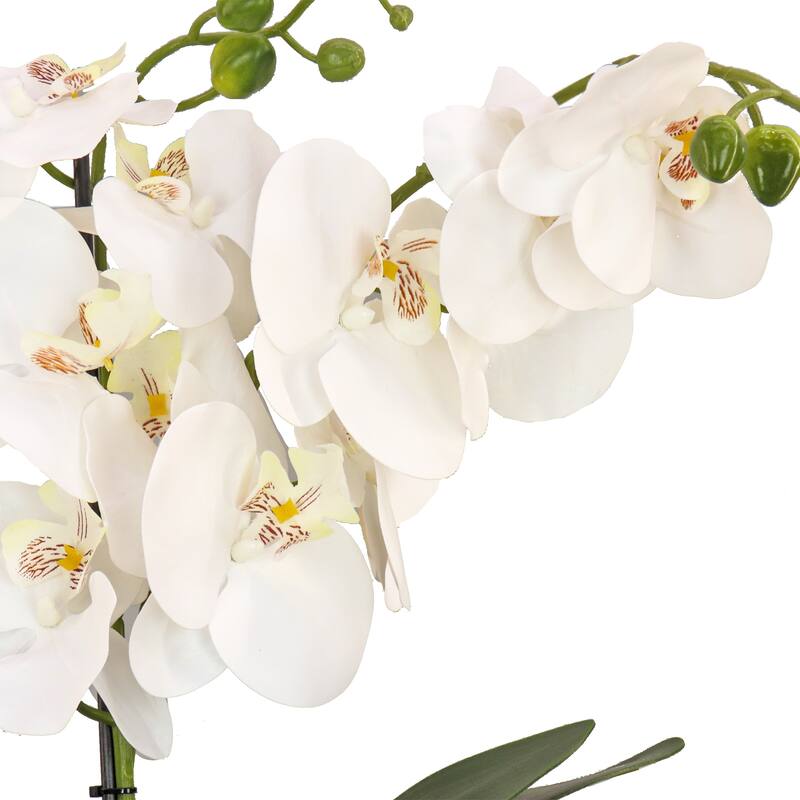 National Tree Company 21 in. White Orchid Flower in White Basket - 21 in