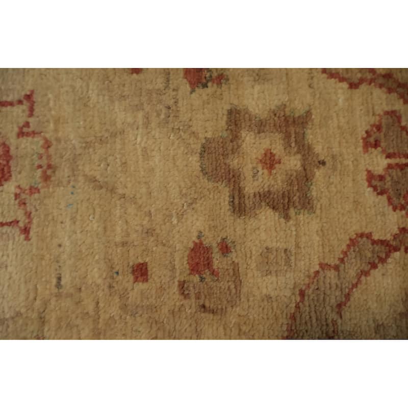 Hand Knotted Oriental 100% Wool Carpet Traditional Floral Beige & Ivories Peshawar Runner Rug - 12' 9'' X 2' 5''