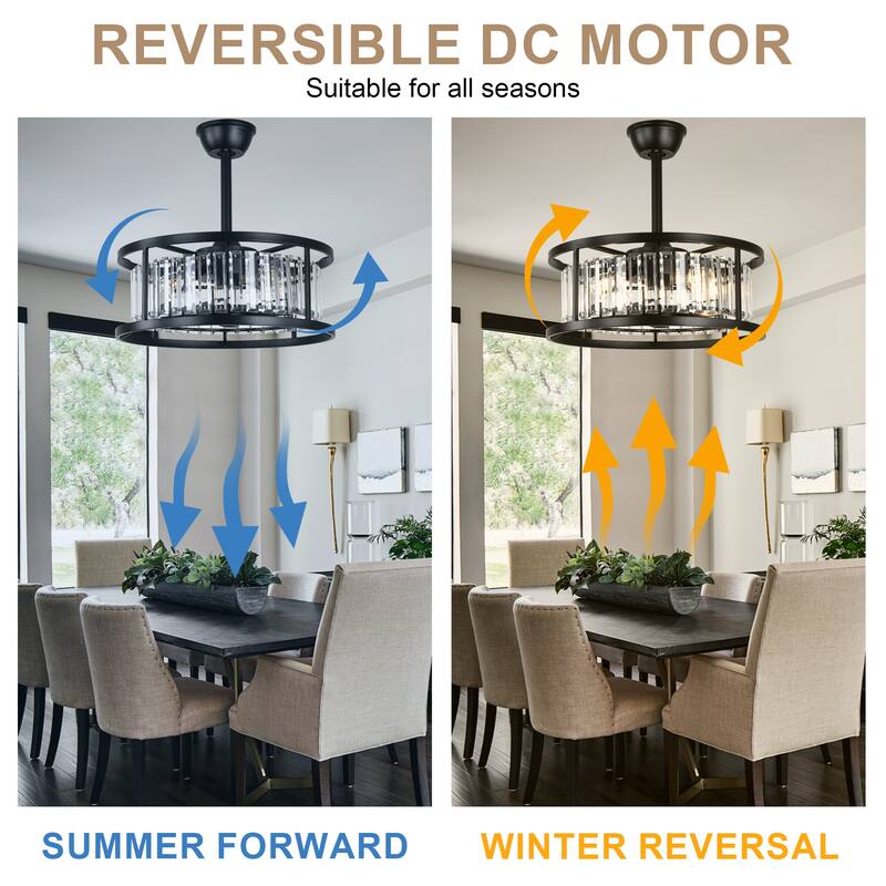 Bella Depot 20" Modern Glass Caged Ceiling Fan with Light and Remote 6-Speed Reversible DC Motor