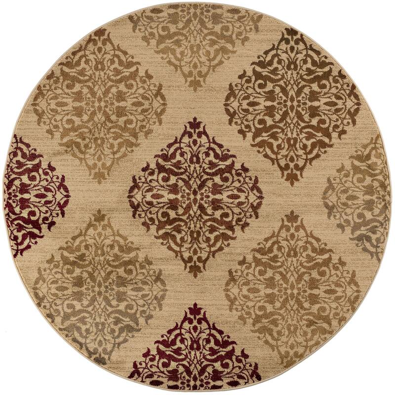 Infinity Transitional Oriental Indoor Area Rug