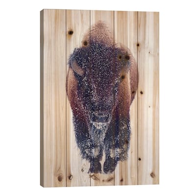 Bison In Snow Print On Wood by OLena Art - Multi-Color