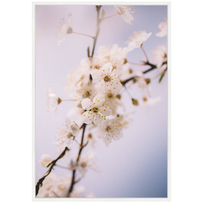 Kate and Laurel Sylvie Nature White Floral Blooms Framed Canvas by Patricia Hasz of Patricia Rae Photography