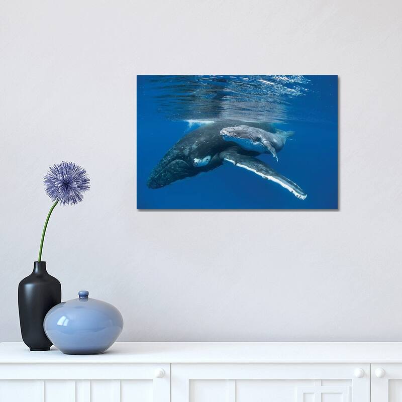 iCanvas "Humpback Whale Mother With Four Day Old Calf, Tonga" by Suzi Eszterhas Canvas Print - 12x18x1.5