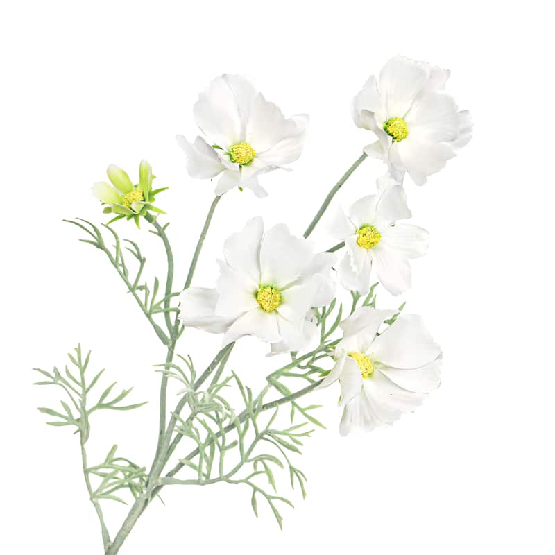 Set of 6 Whtie Artificial Cosmos Flower Stem Spray 24in - 24" L x 6" W x 6" DP