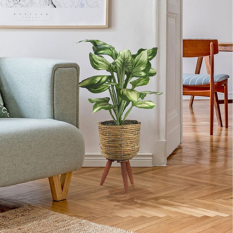 28-inch Artificial Hosta in Brown Basket Stand