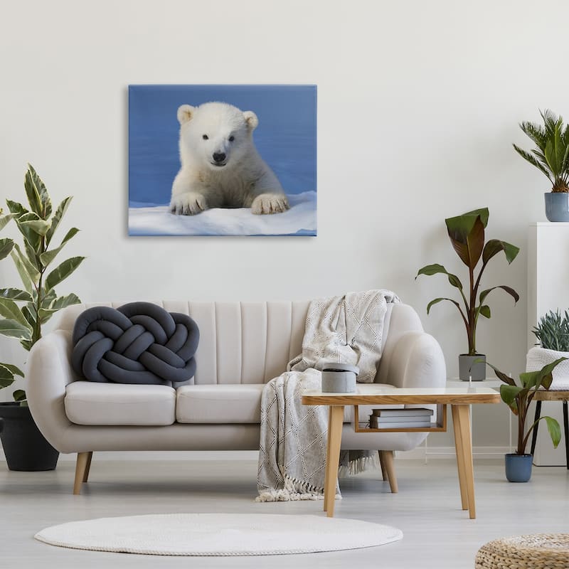 Stupell Baby Polar Bear Peeking Canvas Wall Art Design by © Shane Lamb