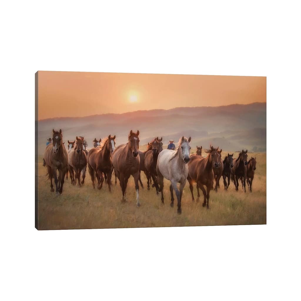 iCanvas "Sunkissed Horses II" by PHBurchett Canvas Print