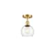 Option Clear / Satin Gold