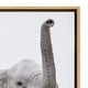 preview thumbnail 5 of 11, Kate and Laurel Sylvie Safari Animal Framed Canvas by Amy Peterson