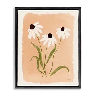 Stupell Daisy Meadow Treasures Framed Floater Canvas Wall Art Design By ...