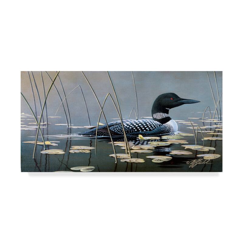 Wilhelm Goebel 'Loon In Reeds' Canvas Art