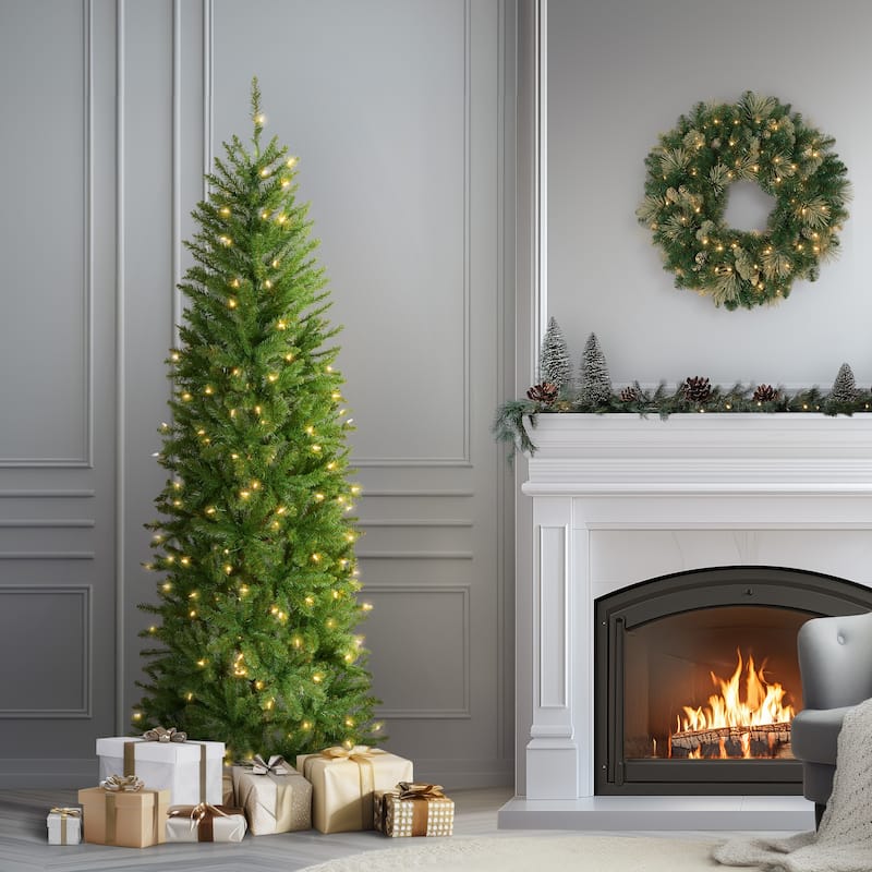National Tree Company 3 ft. Kingswood Fir Pencil Tree with Clear Lights