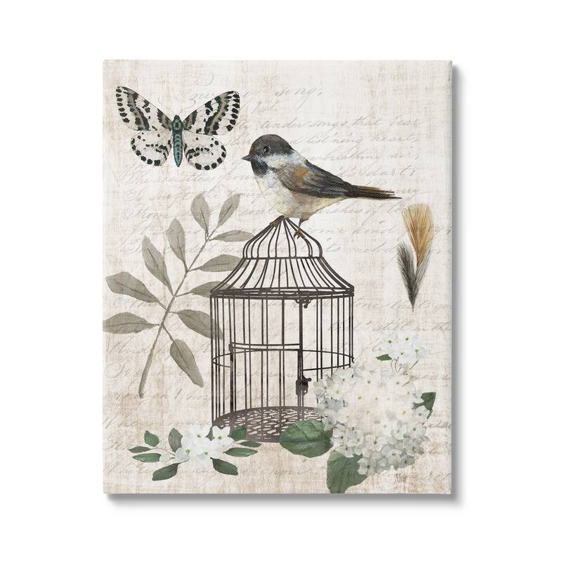 Stupell Botanical Bird Cage Vintage Words Butterfly Motif Canvas Wall Art, Design by Nan - 30 x 40
