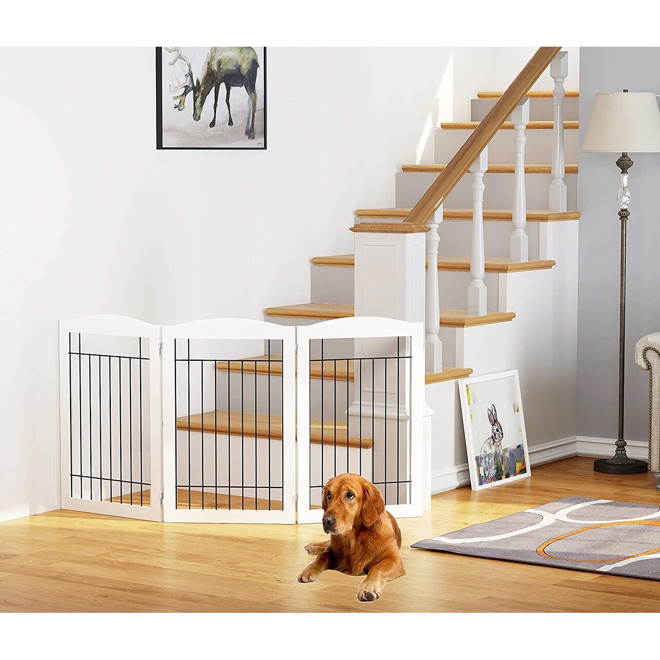 60 inch wide dog gate discount