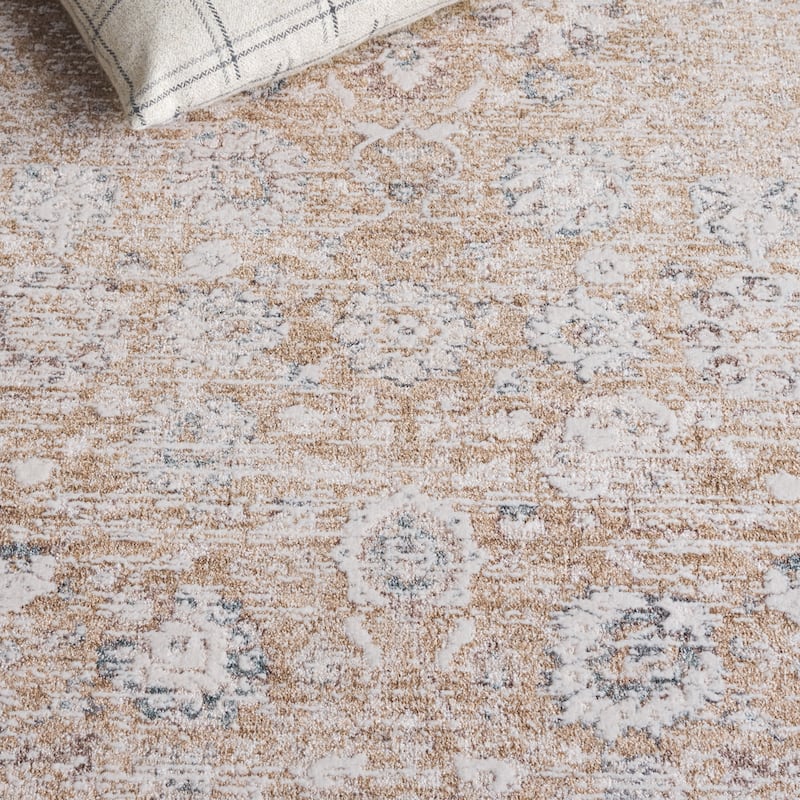 SAFAVIEH Romance Einike Vintage Distressed Rug