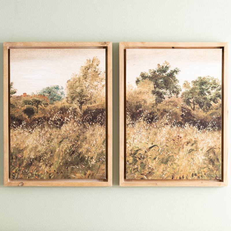 Framed Landscape Canvas Art (Set of 2)