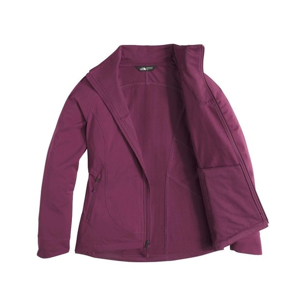 north face apex byder