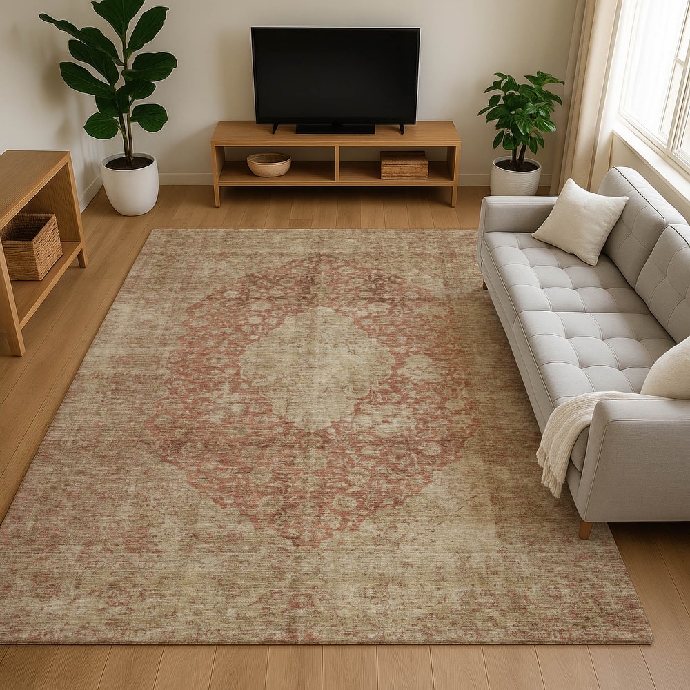 Premium Washable Super Soft Vintage Traditional Mayfield Rug