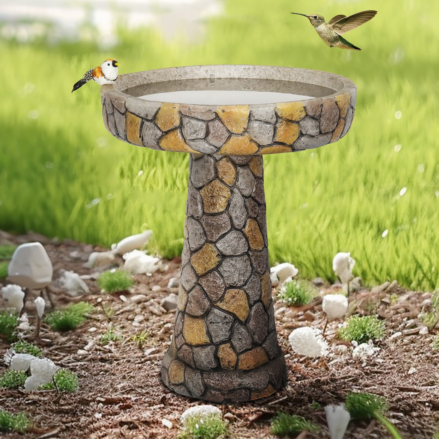 Water bowl for birds on sale
