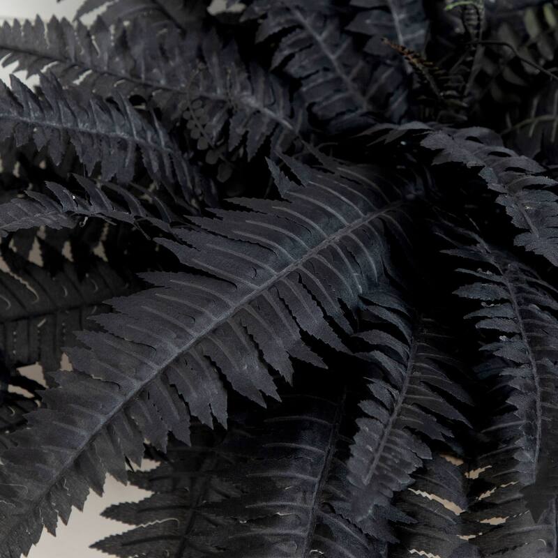 Halloween Artificial Boston Ferns - 40" - Black - Set of 2