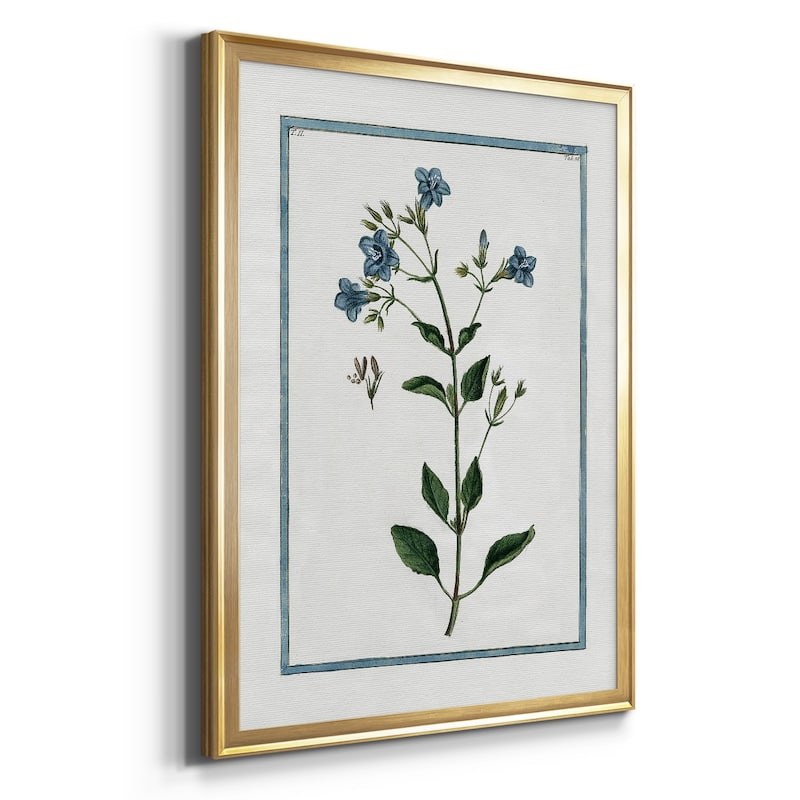 Shabby Chic Botanical II Premium Framed Print - Ready to Hang