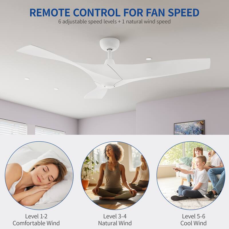 Moasis 52" 3-Blade Smart Ceiling Fan