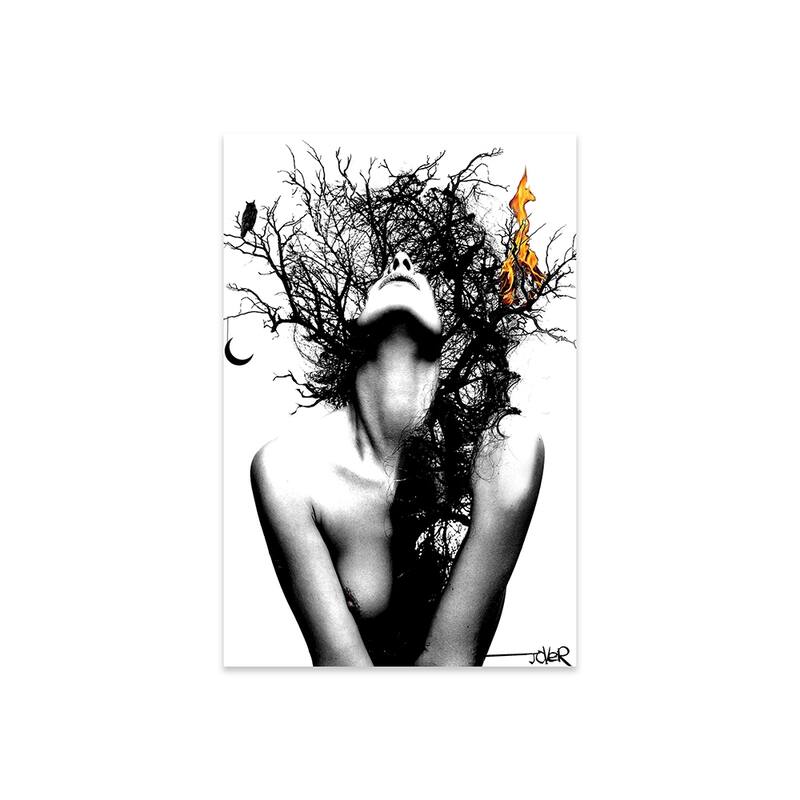 Wisdom And Fire Print On Acrylic Glass by Loui Jover