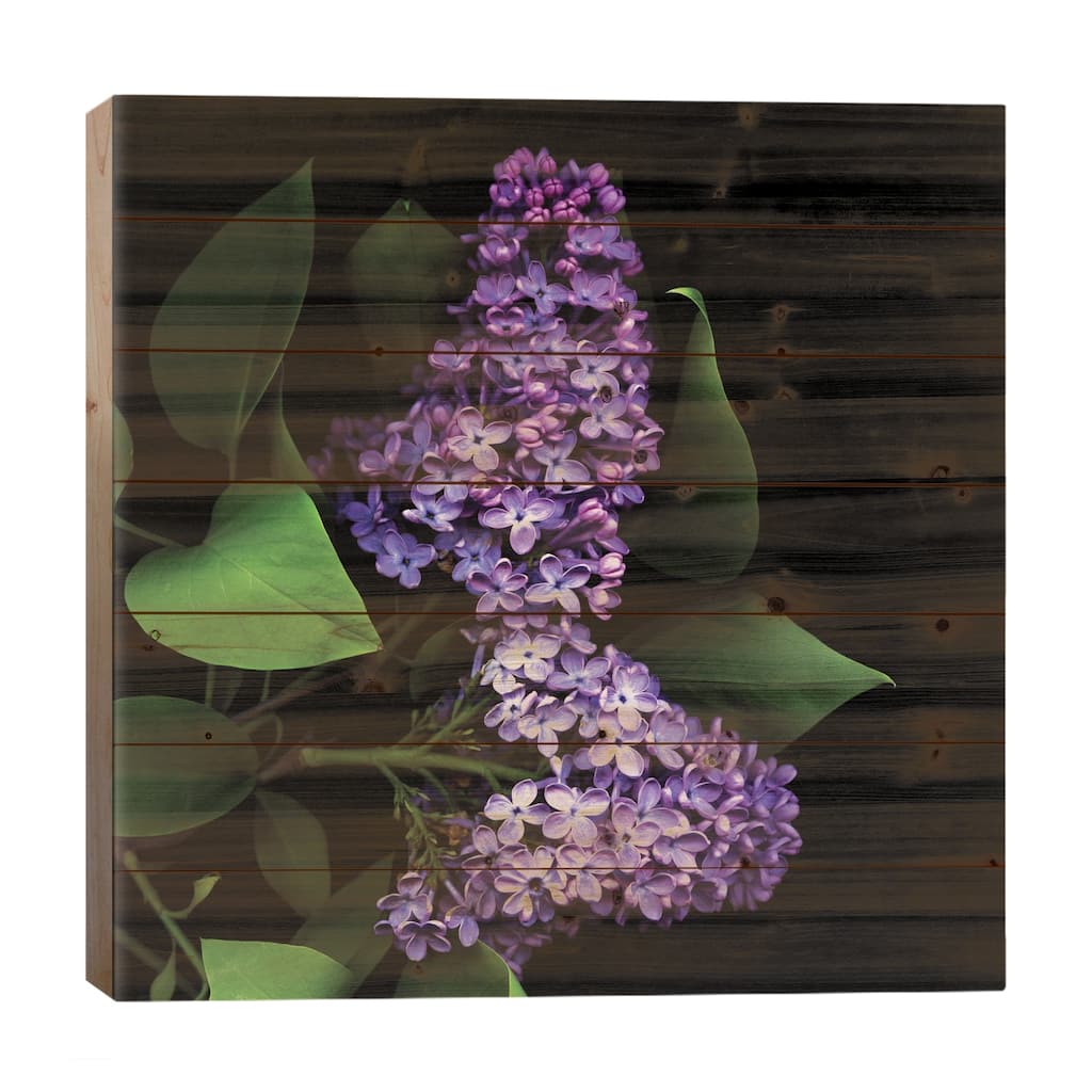 Deep Purple Print On Wood by Magda Indigo - Multi-Color