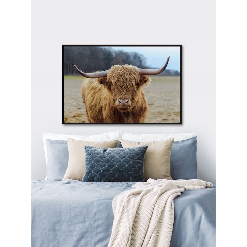 Highland Roamer Floater Framed Print on Canvas