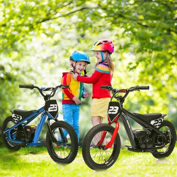 24V 250W Electric Dirt Bike for Kids Aged 6-12, 3 Speed Settings